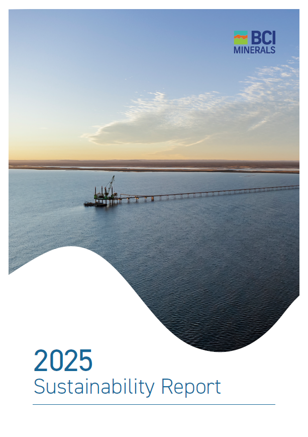 sustainability report 2025