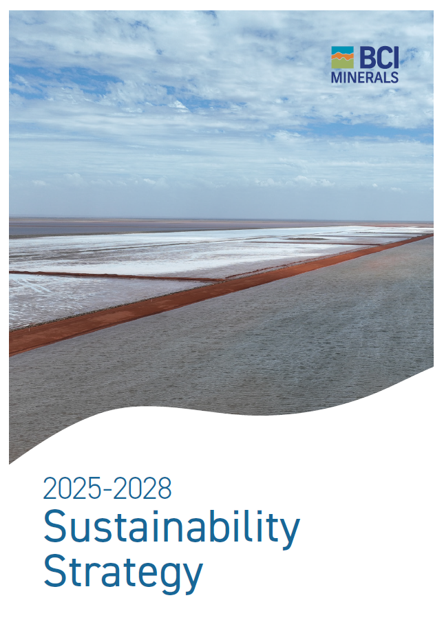 sustainability strategy 2025